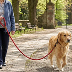 Mile High Life Dog Leash Braided Cotton Rope with Leather-Reinforced Ends | Rust-proof 360° swivel clasp, Heavy-duty for medium/large breeds. Great for weddings, daily walks (4 FT, 1/2", Red)