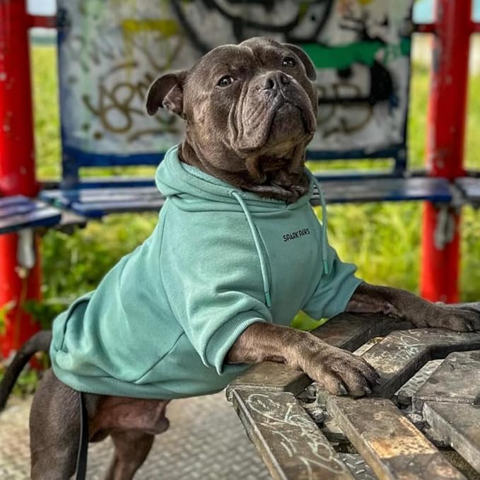 Spark Paws Dog Hoodie – Premium Dog Sweater for Small, Medium, and Large Dogs | Warm Outfits for French Bulldogs, Pitbull, Puppy, Winter Jacket Alternative - Teal - 3XL