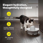 PetSafe Creekside Ceramic Pet Fountain, 60 Oz, 4-Pack Carbon Filters | 60 Oz Capacity, Whisper-Quiet Flow, Includes Carbon Filters, Top-Rack Dishwasher Safe