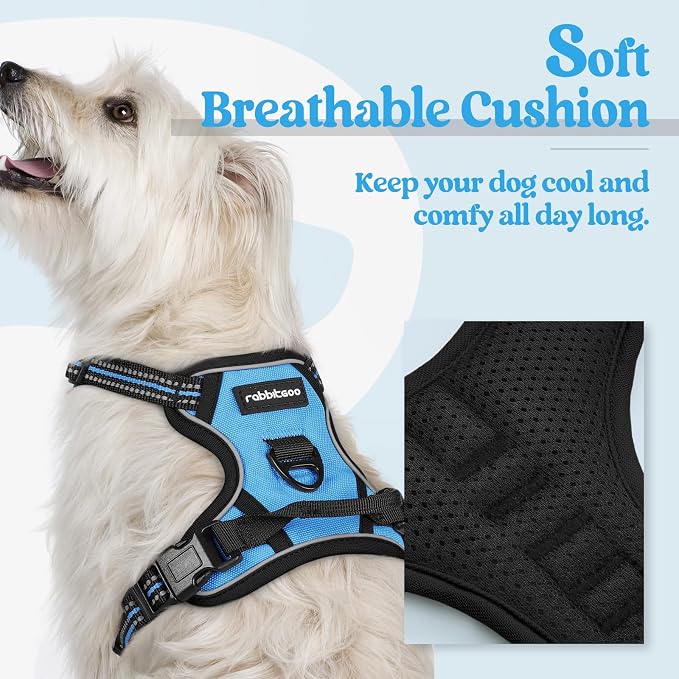 rabbitgoo Dog Harness, No Pull for Small Dogs with 2 Leash Clips, Pet Vest | No Choke with Handle, Adjustable Soft Padded, Reflective, Easy Control for Walking, Blue, X-Small