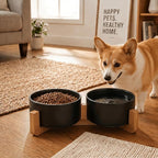 SPUNKYJUNKY Ceramic Dog and Cat Bowl Set with Wooden Stand, Modern Cute Weighted Food Water Set for Small Size Dogs (13.5OZ) & Medium Sized Dogs (28.7OZ) & Cats (3.6 Cups, 2 × Black)