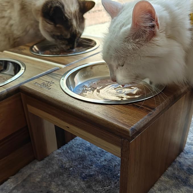 Raised Cat Bowls, 6.25 in Wide, 6" Elevated Cat Feeding Stand (with 2 Stainless Steel Bowls: 12 oz/1.5 Cup), Small Dogs, Rabbits, Anti-Vomit, Whisker Friendly, 6 x 8 x 8 in, Acacia Wood