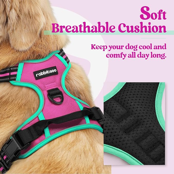 rabbitgoo Dog Harness, No Pull Medium Sized with 2 Leash Clips, Pet Vest | No Choke with Handle, Adjustable Soft Padded, Reflective, Easy Control for Walking, Hot Pink & Turquoise, Medium