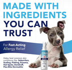 TropiClean OxyMed Hot Spot Treatment for Dogs, Medicated Dog Itching Skin Relief Spray, Anti-Itch Spray Quickly Soothes Skin Irriration, Alleviate Scratching, Chewing & Licking, Safe for Cats, 8oz