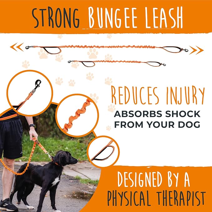 Mighty Paw Hands Free Dog Leash | Bungee Waist Leash for Dog Walking. Pet Running Hands Free Tether for Large, Medium & Small Breeds. Pet Waist Belt (36" - 48") Up to 150 lbs - Orange