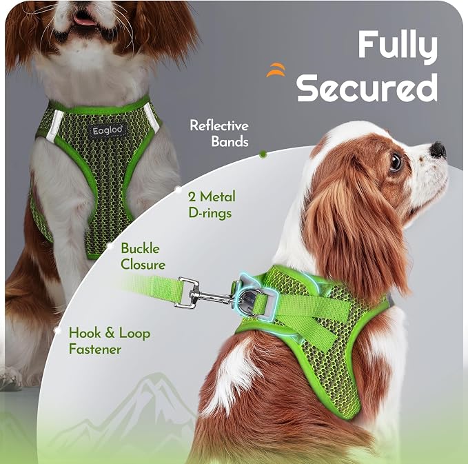 Eagloo Small Dog Harness and Leash Set, Step in Extra Small Puppy Pet Vest | Light, Soft, Breathable Air Mesh, Easy on and off with Hook & Loop, Reflective for Safe Walking, Green, XXS