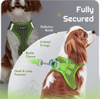Eagloo Small Dog Harness and Leash Set, Step in Extra Small Puppy Pet Vest | Light, Soft, Breathable Air Mesh, Easy on and off with Hook & Loop, Reflective for Safe Walking, Green, XXS