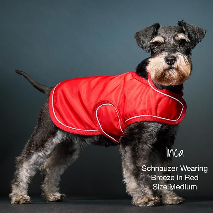 Pet Passion Breeze II - The Windbreaker, Water Resistant Pet Raincoat, Vegan Fur and Lined Pet Jacket for Small, Medium, Large Dogs, Red, X-Small (5-12 lbs)