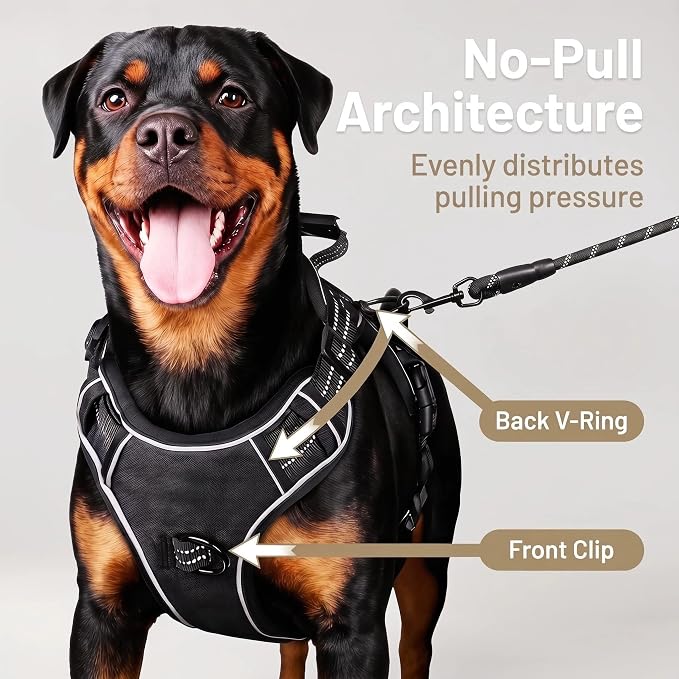 Service Dog Tactical Vest Harness and Leash Set Large Sized Dog Emotional Support- Tactical Dog Harness Training Collar with Name (Black, M)