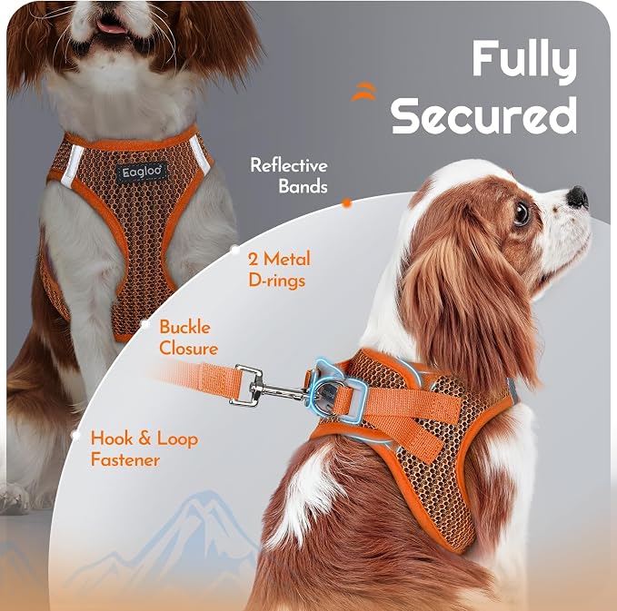 Eagloo Small Dog Harness and Leash Set, Step in Extra Small Puppy Pet Vest | Light, Soft, Breathable Air Mesh, Easy on and off with Hook & Loop, Reflective for Safe Walking, Orange, XXS
