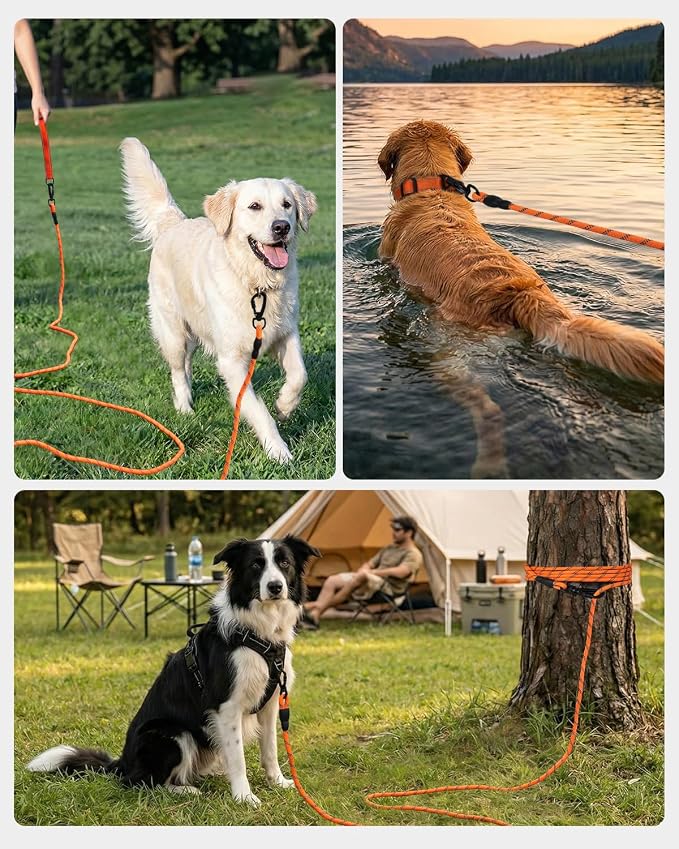 Joytale Long Dog Leash for Yard Tie Out & Recall Training, Orange, 30FT | Secure Locking Carabiner, Removable Padded Handle, Reflective Webbing for Night Safety, Ideal for Outdoor Play and Camping