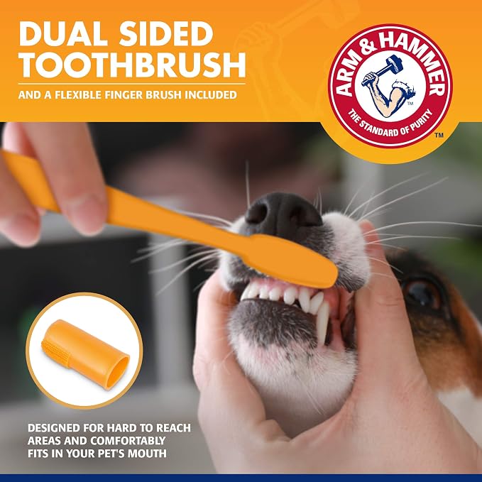 Arm & Hammer Tartar Control Dog Dental Kit, Beef Flavor, 3-Piece, 48-Pack | Enzymatic toothpaste with toothbrush and fingerbrush, baking soda formula safe for puppies