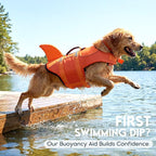 ASENKU Dog Life Jacket - Pet Safety Vest for Swimming & Boating, Shark Life Jacket with Floatation, Dog Lifesavers Swimsuits for Small Medium Large Dogs (OrangeMix, 2XL)