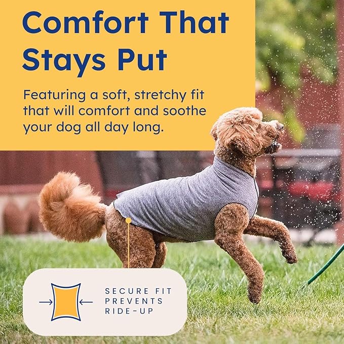 Goldpaw Dog Sun Shirt with UV Protection - Lightweight, Cooling Sun Protection Clothing for Dogs - Reduce Heat Absorption - Pet Clothes Made in the USA - Machine Washable - Size 8 - Pink Lemonade