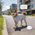 Dog Cooling Sun Protection Suit, Outdoor Fashion Onesie, UPF 50+ Lightweight Breathable Quick-Dry, Anti-Dirt & Anti-Shedding, Zipper Design for Easy Dressing Undressing (Lavender, XX-Large)