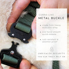 MADE TO ROAM Control Dog Collar | Leather Handle & Heavy Duty Metal Buckle | Premium adjustable collar with vegan leather handle. Fits medium to large dogs. 15 colors. Matching leash & harness