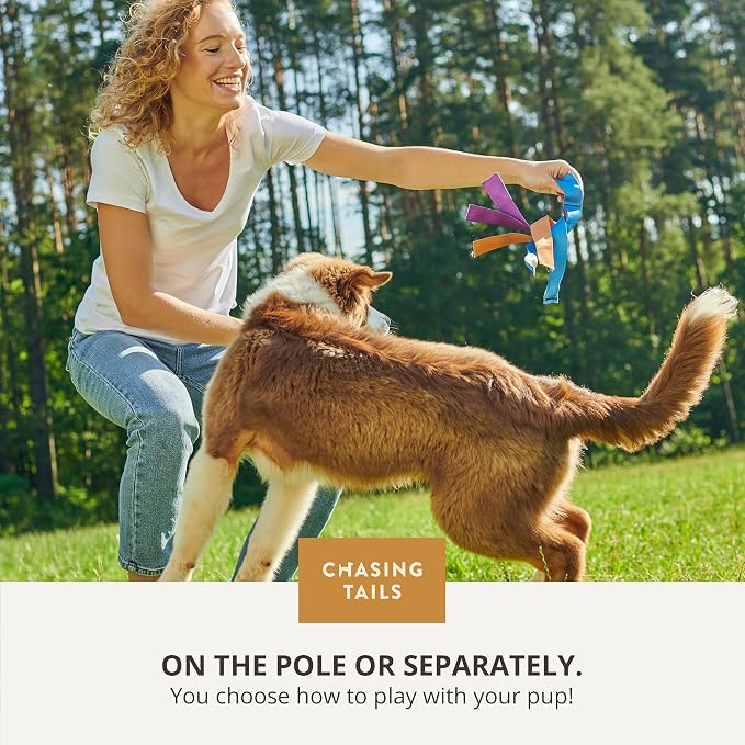 Chasing Tails Flirt Pole for Small Dogs - 26 Inch with 70 Inch Rope and Two Toys -Interactive Play Equipment for Small and Medium Breeds - Durable and Fun Exercise Tool for Active Pets