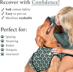 BellyGuard Dog Surgery Recovery Suit, Post-Op Dog Recovery Suit for Female Spay & Male Neuter, Comfy Onesie for Pets, Surgical Body Cover for Canine Healing Support