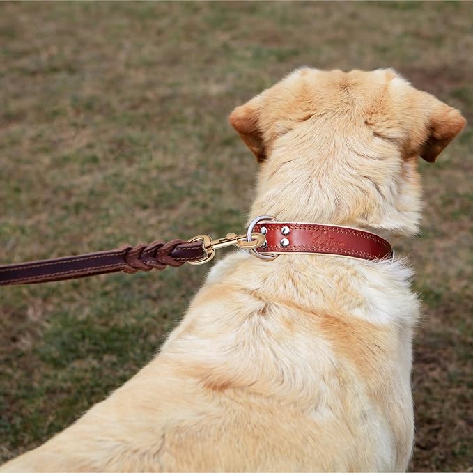 ADITYNA Leather Dog Leash with Traffic Handle, 6ft, Medium & Small Dogs | Heavy-duty braided leather leash, 5/8" width x 6ft, Double handle for extra control, ideal for training & busy sidewalks.