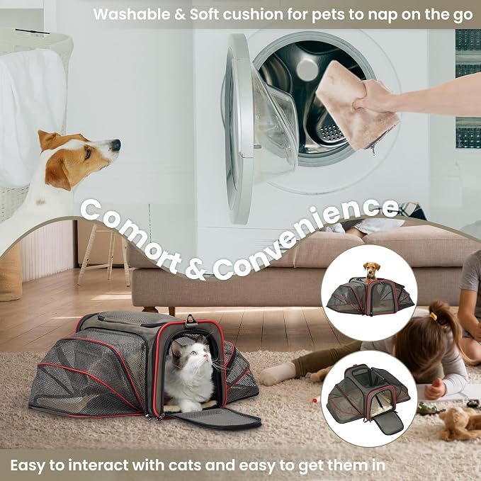Petsfit 2 Side Expandable Pet Carrier Dog Carrier Cat Carrier for 2 Cats, 19" Lx 12" Wx 12" H, with Soft Cushion, Built-in Safety Rope, Pockets, Fit for Car Travel