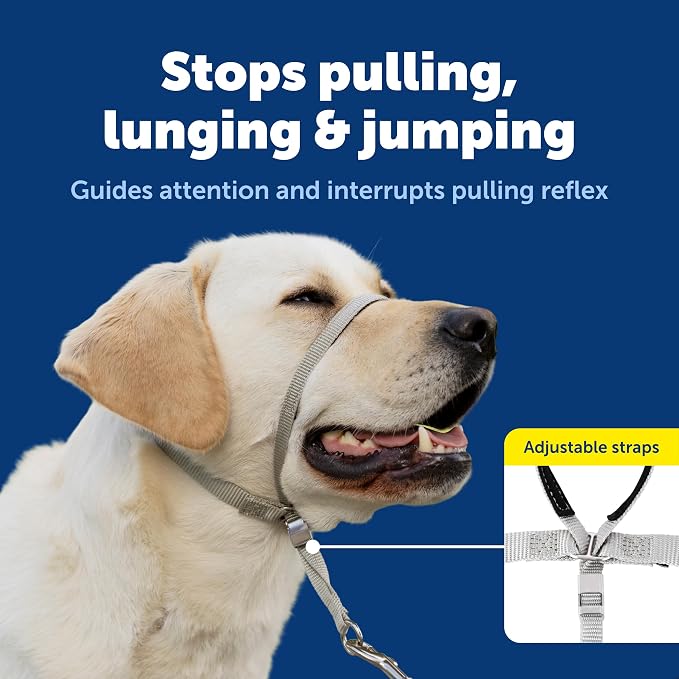 PetSafe Gentle Leader No-Pull Dog Headcollar - The Ultimate Solution to Pulling - Redirects Your Dog's Pulling for Easier Walks - Helps You Regain Control - Small, Apple Green