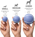 Playology Dog Toys | Squeaky Chew Ball for Dogs, Value 3-Pack | Blueberry Scented Small Dog Balls | Bouncy Floating Chew Toys for Fetch