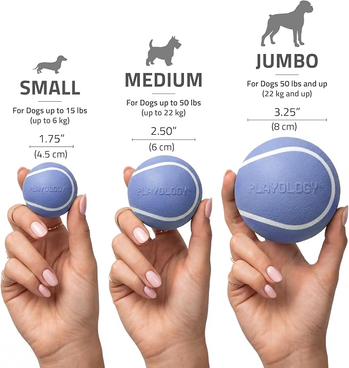 Playology Dog Toys | Squeaky Chew Ball for Dogs, Value 3-Pack | Blueberry Scented Small Dog Balls | Bouncy Floating Chew Toys for Fetch