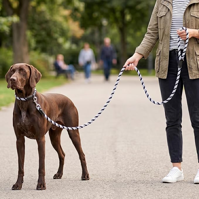 Mile High Life Rainbow Dog Leash Braided Cotton Rope w Leather-Wrapped Ends | Rust-proof 360° swivel clasp, Heavy-duty for medium/large breeds. Great for weddings, daily walks (4FT, 1/2", Black/Gray)