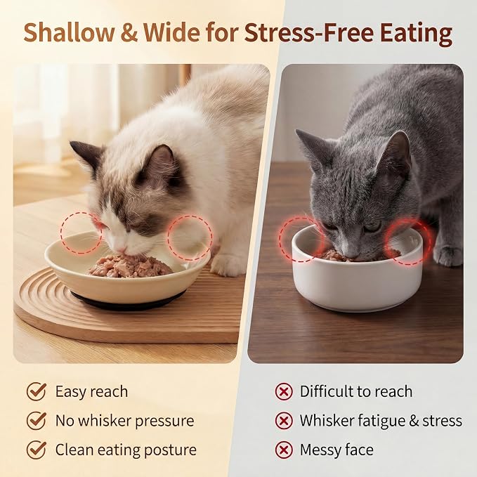 Ceramic Cat Food Bowls 6 Pack – Shallow Cat Bowl with Non-Slip Silicone Base, Whisker-Fatigue Dishes for Indoor Cats – Microwave Dishwasher Safe – 5.3 oz Colorful Pet Plates for Wet Dry Food Water