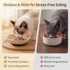 Ceramic Cat Food Bowls 6 Pack – Shallow Cat Bowl with Non-Slip Silicone Base, Whisker-Fatigue Dishes for Indoor Cats – Microwave Dishwasher Safe – 5.3 oz Colorful Pet Plates for Wet Dry Food Water