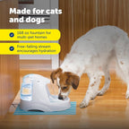PetSafe Drinkwell Platinum Cat Fountain, Includes 3 Carbon Filters | 168 Oz Capacity, Falling Stream Encourages Drinking, Adjustable Flow, Top-Shelf Dishwasher Safe, 3 Filters Included