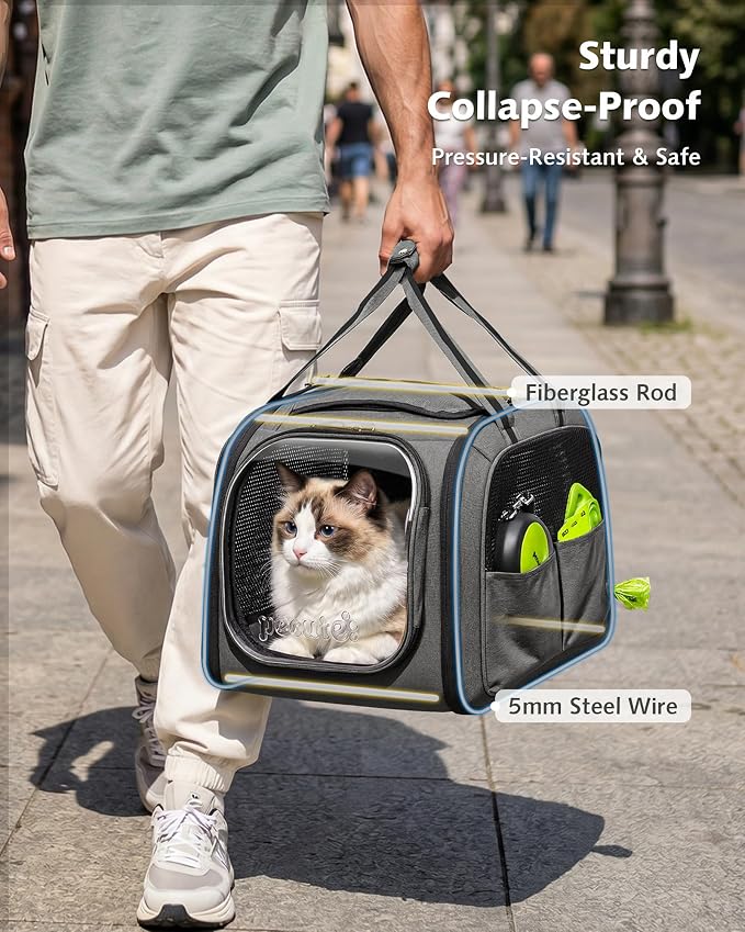 Pecute Cat Carrier with Bubble Window & Sunshade for Dogs Cats, Gray L | Dual bubble windows & top sunshade, 70% more airflow mesh, Impact-resistant stable frame, Locking zippers, Fits up to 15 lbs