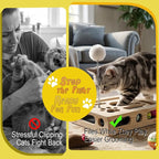 Cat Nail File Scratcher - Solid Wood Puzzle Enrichment Box for Indoor Cats | Interactive Cat Puzzle Box with Cat-Safe 100 Grit Pad for Cat Claw Care,4 Bell Balls, Spring Teaser,Tool-Free, Splinter-Free