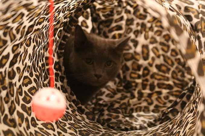 3 Way Cat Tunnel. Extra Large 12 Inch Diameter and Extra Long. A Big Collapsible Play Toy. Wide Pet Tunnel Tube for Rabbits, Kittens, Large Cats, and Dogs (Animal Print)
