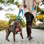 PetiFine 6FT Heavy Duty Dog Leash with Soft Padded Double Handle | Traffic Handle Extra Control,Auto Lock Hook,Reflective Nylon Walking Lead for Large,Medium,Small Breed Dogs