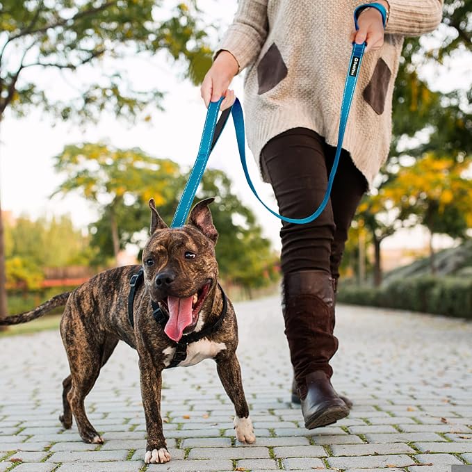 PetiFine 6FT Heavy Duty Dog Leash with Soft Padded Double Handle | Traffic Handle Extra Control,Auto Lock Hook,Reflective Nylon Walking Lead for Large,Medium,Small Breed Dogs
