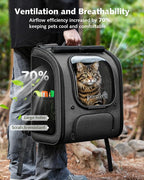 Pecute Cat Backpack Carrier,Large Space Cat Bubble Backpack,Ergonomic,Gray | XXL,Sunshade Curtain,Transparent Window,Safety Rope,Sturdy,Large Mesh on Both Side for Breathability,Suitable for Outdoor,Vet
