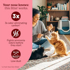 Fresh Step Advanced Heavy Duty Multi Cat Clumping Cat Litter with Febreze Freshness, Low Dust, Odor Control with Ammonia Block Tech, Compatible in Automatic Litter Boxes, 17.5 lb | Heavy Duty, Odor Control, 3X Odor-Eliminating Carbon, Ammonia Block Tec...