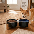 SPUNKYJUNKY Ceramic Dog and Cat Bowl Set with Wooden Stand, Modern Cute Weighted Food Water Set for Small Size Dogs (13.5OZ) & Medium Sized Dogs (28.7OZ) & Cats (3.6 Cups, 2 × Starry Blue)