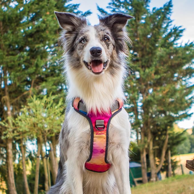 Embark Adventure Dog Harness, Reflective Trim No Pull Dog Harness for Large Dogs - Military Grade Nylon, Front Clip with Gel Lined Handle. Soft & Padded Puppy
