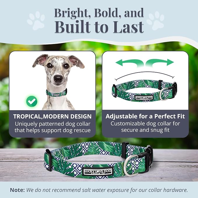 Lucky Love Dog Collar, Beautiful & Vivid Pattern Medium Boy Dog Collars, Easy On & Off Clasp Accessory (Blue Laguna, M)