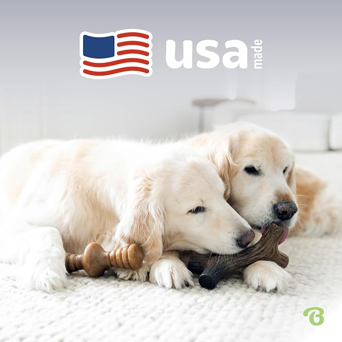 Benebone 2-Pack Maplestick/Zaggler Durable Dog Chew Toys, Dog Bones, Small