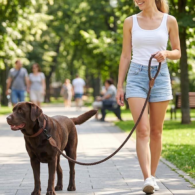 Mile High Life Dog Leash Braided Cotton Rope with Leather-Reinforced Ends | Rust-proof 360° swivel clasp, Heavy-duty for medium/large dogs. Great for weddings, daily walks (4 FT, 1/2", Dark Brown)
