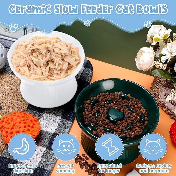 Tioncy 2 Pcs Ceramic Elevated Slow Feeder Cat Bowl, Raised Cat Slow Feeder Bowl, Anti Vomiting for Dry and Wet Food, No Spill High Edge Easy Clean Dishwasher Safe (Dark Green,White)