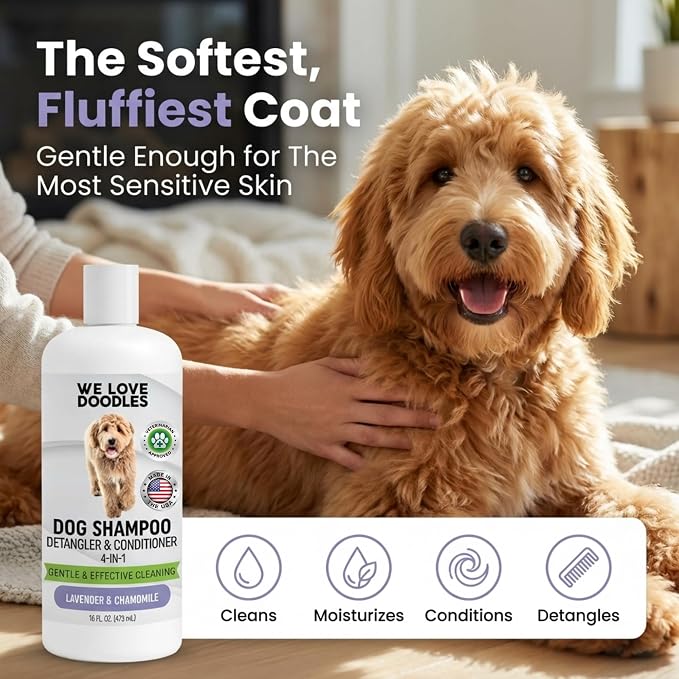 Dog Shampoo, Conditioner & Detangler, Hypoallergenic Tearless Lavender 16OZ | For Sensitive Itchy Skin, Best Shampoo For Smelly Dogs, Goldendoodle, Poodle & Doodle, Puppy Pet Wash Soap, USA Made, 4-in-1