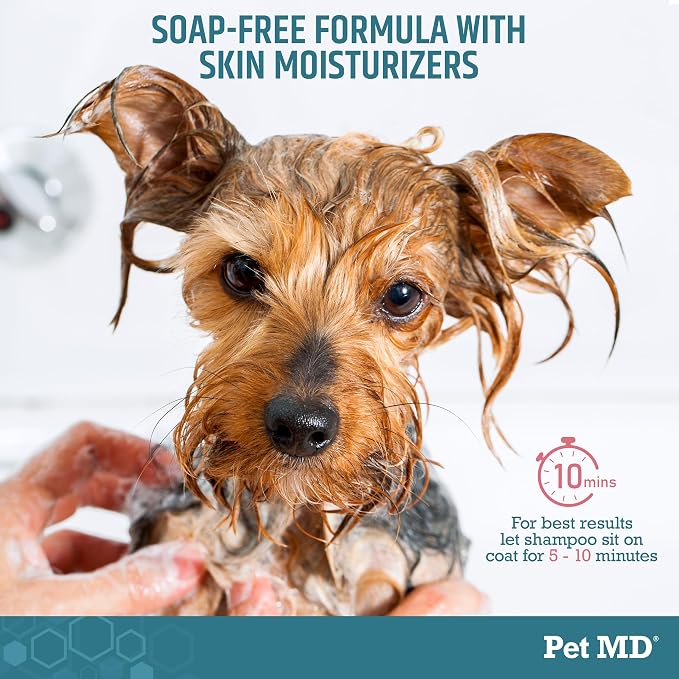 Pet MD Benzoyl Peroxide Shampoo for Dogs, Cats, and Horses - 12oz | Helps Relieve Itchy, Oily & Flaky Skin - Deep Cleansing & Deodorizing Formula - Passion Fruit Scent