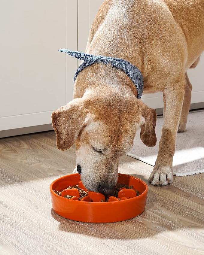 LE TAUCI Slow Feeder Dog Bowls Ceramic,3 Cups Slow Feeding Dog Bowl Medium Large Breed, Pet Bowl for Fast Eaters, Puzzle Pet Dishes,Sun Orange