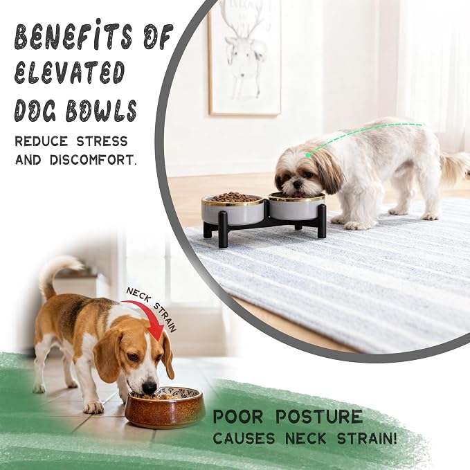 Elevated Ceramic Dog Bowl Set - Double Dishes with Stainless Steel Stand – Raised Feeding Bowls for Cats and Small Dogs - Food & Water Set - 5" / 1.6 Cups (160 g / 300 ml) - Green