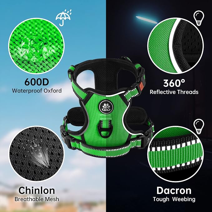 NESTROAD No Pull Dog Harness,Adjustable Oxford Dog Vest Harness with Leash,Reflective No-Choke Pet Harness with Easy Control Soft Handle for Small Dogs(Small,FluorescentGreen)