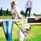 WINSEE Pet Harness Collar and Leash Set, All-in-one Reflective Dog Harness No Pull with Adjustable Buckles for Puppies, Small, Medium, Large, and Extra-Large Dogs (Medium, Pink)